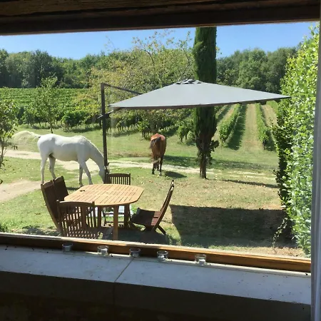 Les Terrasses Feriehus Sigoulès